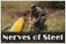 Nerves of Steel