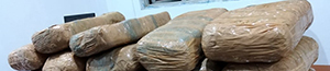 Sri Lanka Air Force Assists in Apprehending 50 Kg's of Kerala Cannabis