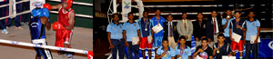 Defence Service Boxing Championship 2012