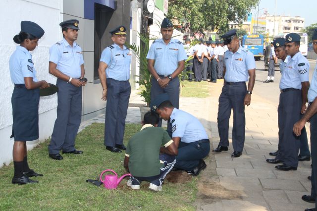SLAF Marks National Tree Planting Day
