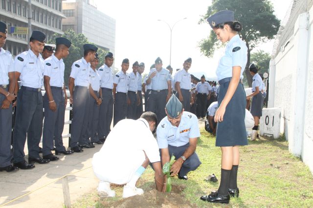 SLAF Marks National Tree Planting Day