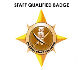 SABF (SPECIAL AIRBORNE FORCES) BADGE