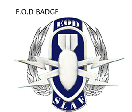 Explosive Ordinance Disposal Badge