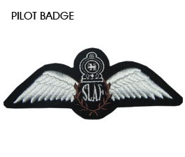 Pilot Badge