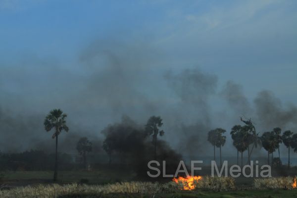 Air Force Plays a Vital Role during Exercise “Cormorant Strike iv – 2013”