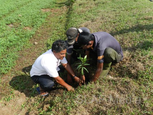வவுனியா விமானப்படை முகாம் 35 வது உருவாக்கம் நாள் கொண்டாடப்படுகிறது.