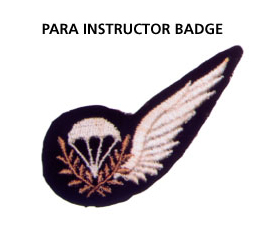 Para Instructor Badge