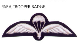 Para Trooper Badge