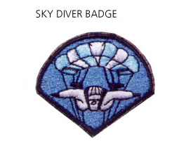 Sky Diver Badge