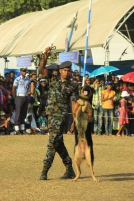 Sri Lanka Air Force 5th best Exhibit at “Dayata Kirula” Exhibition 2014