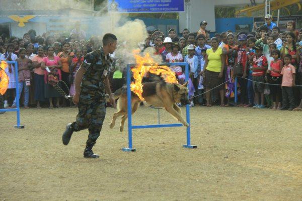 Sri Lanka Air Force 5th best Exhibit at “Dayata Kirula” Exhibition 2014