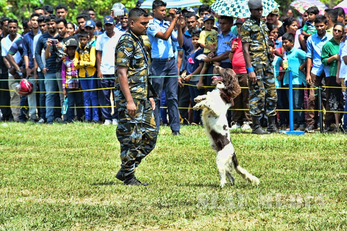 SLAF 66th Anniversary Exhibition and Tattoo -2017 Starts With a Success