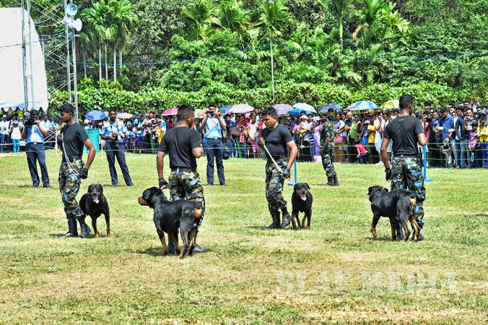 SLAF 66th Anniversary Exhibition and Tattoo -2017 Starts With a Success