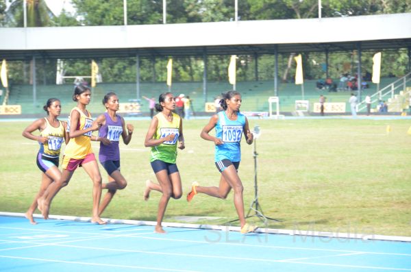 91 ஆவது தேசீய விளையாட்டு விழா- 2013