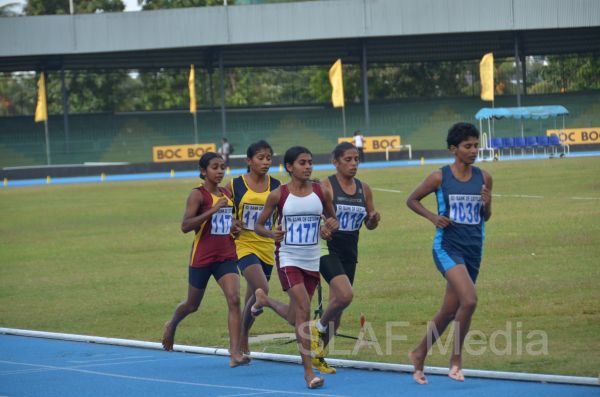 91 ஆவது தேசீய விளையாட்டு விழா- 2013