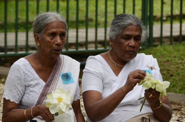 A Religious Ceremony at the Temple of Sacred Tooth