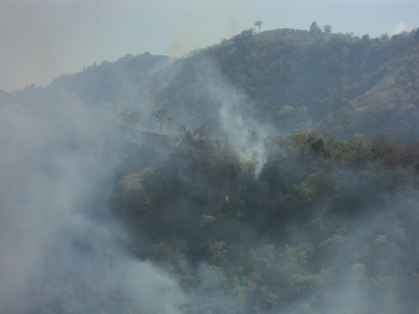 Aerial Firefighters in action in Laggala