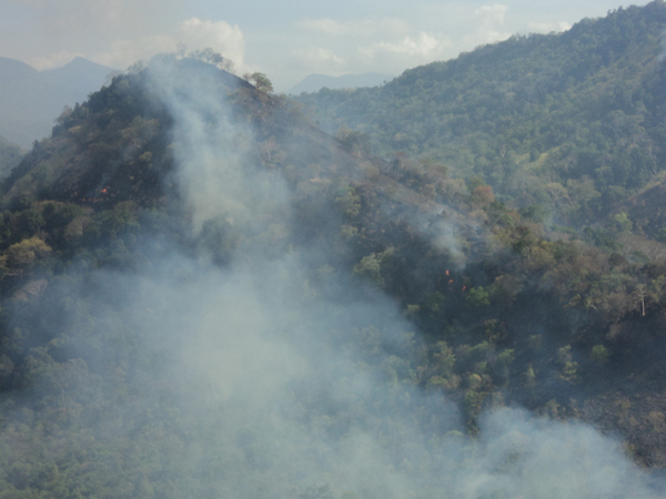 Aerial Firefighters in action in Laggala