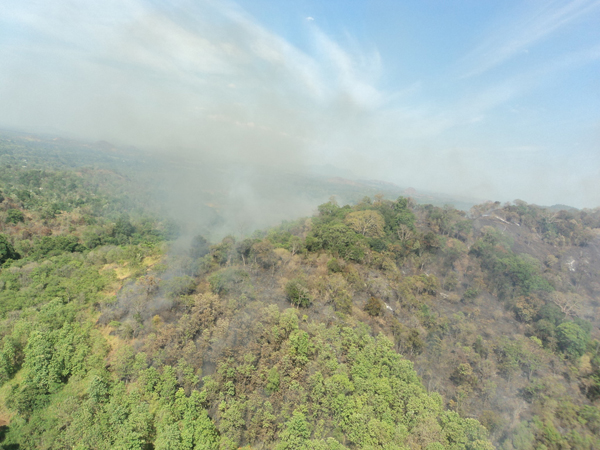 Aerial Firefighters in action in Laggala