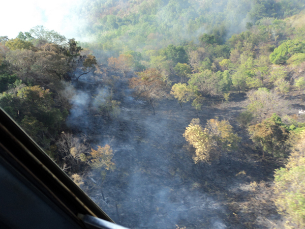 Aerial Firefighters in action in Laggala
