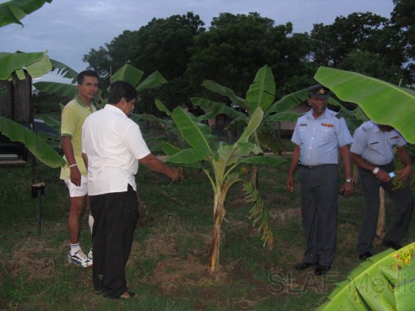 Agricultural Projects at SLAF Base Hingurakgoda is Appreciated