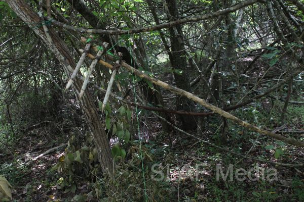Aircrew Water and Jungle Survival Training