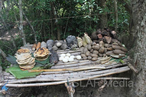 Aircrew Water and Jungle Survival Training