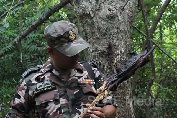 Aircrew Water and Jungle Survival Training