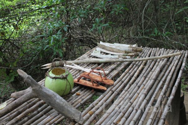 Aircrew Water and Jungle Survival Training