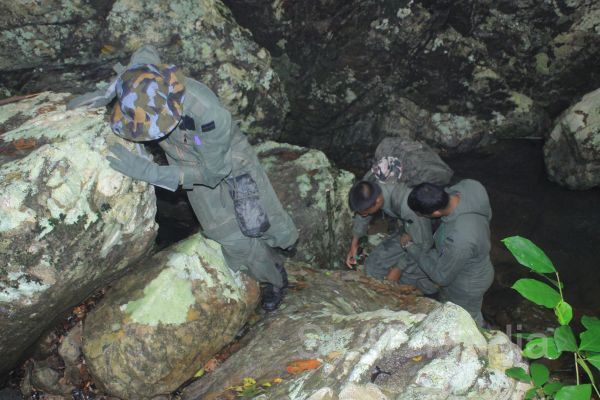 Aircrew Water and Jungle Survival Training