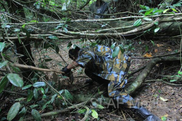 Aircrew Water and Jungle Survival Training