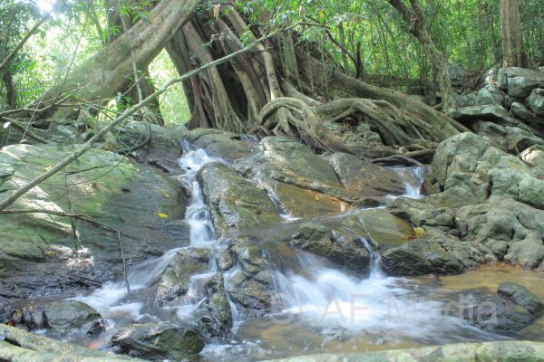 Aircrew Water and Jungle Survival Training