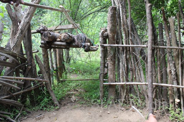 Aircrew Water and Jungle Survival Training