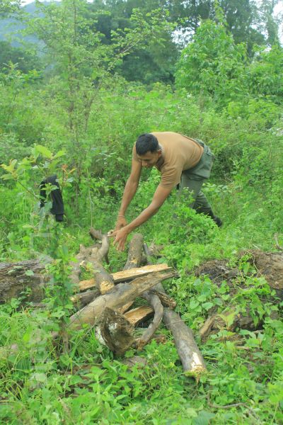 Aircrew Water and Jungle Survival Training