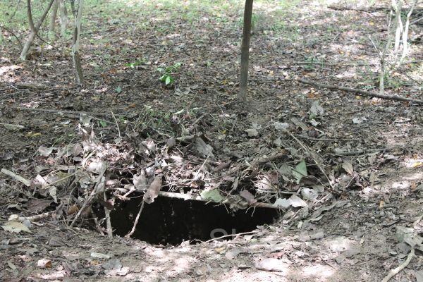 Aircrew Water and Jungle Survival Training