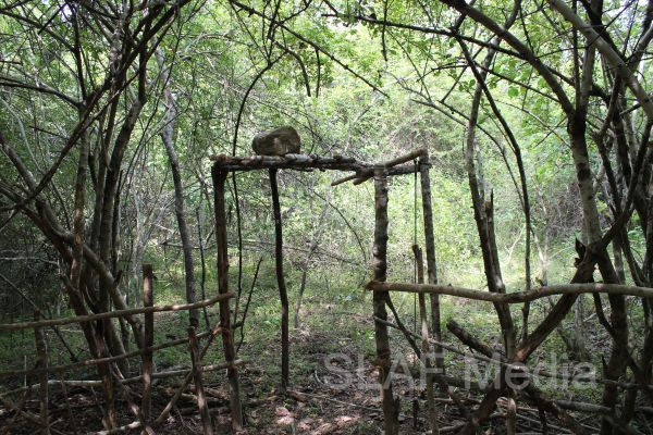 Aircrew Water and Jungle Survival Training