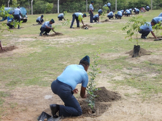 ampara_formation_day