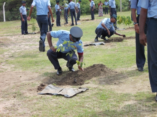 ampara_formation_day