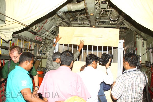 செக் குடியரசினால் அன்பளிப்பு செய்யப்பட்ட 3வகை மிருகங்கள் இலங்கை வந்து சேர்ந்தன