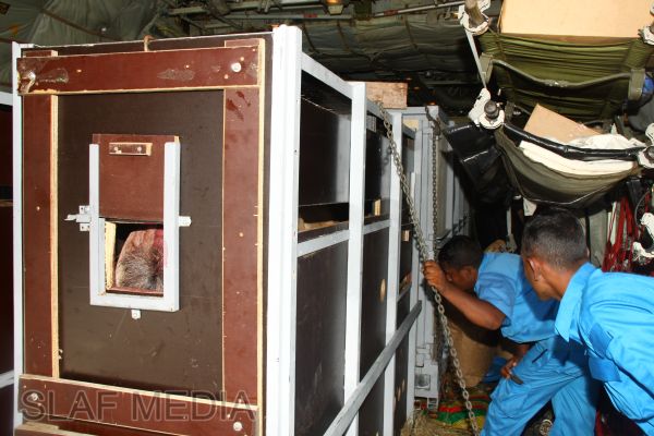 செக் குடியரசினால் அன்பளிப்பு செய்யப்பட்ட 3வகை மிருகங்கள் இலங்கை வந்து சேர்ந்தன