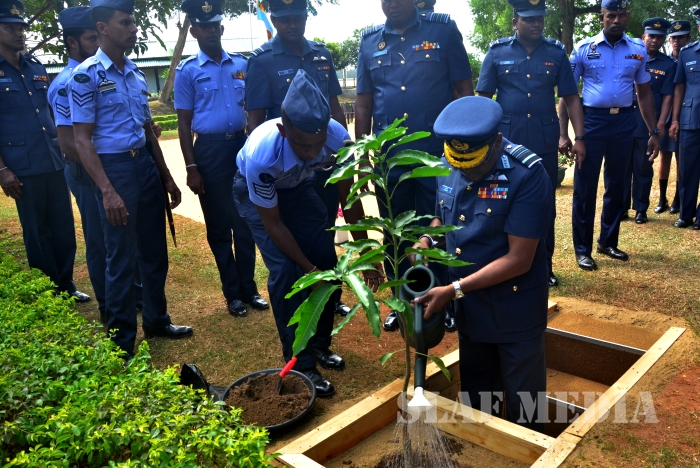 Annual AOC'S Inspection at SLAF Station BIA