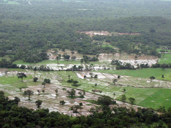 46 Rescued by SLAF Choppers from Batti Floods