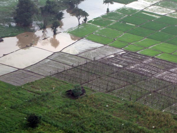 46 Rescued by SLAF Choppers from Batti Floods