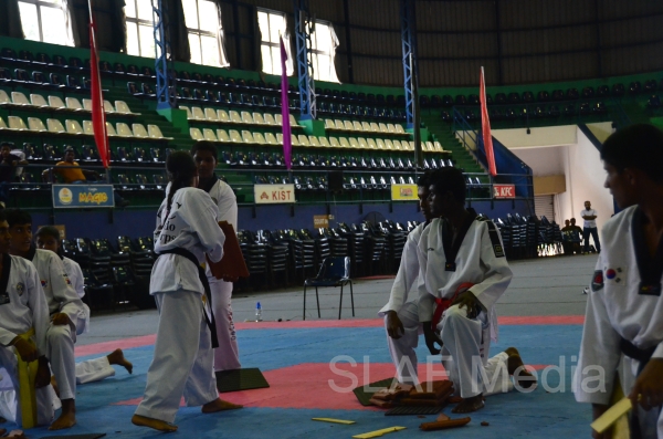 Best Upcoming Taekwondo team 2013