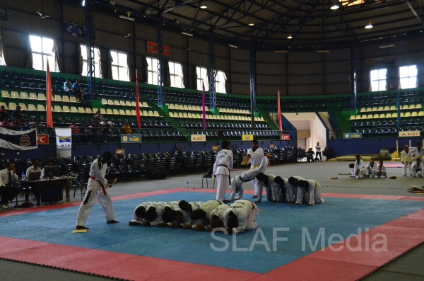 Best Upcoming Taekwondo team 2013