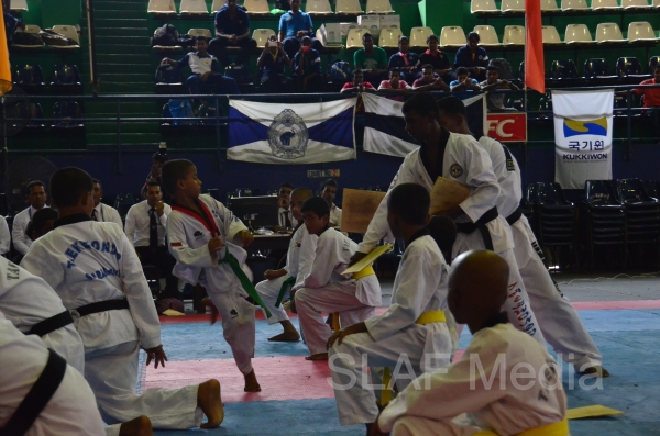 Best Upcoming Taekwondo team 2013
