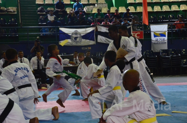 Best Upcoming Taekwondo team 2013