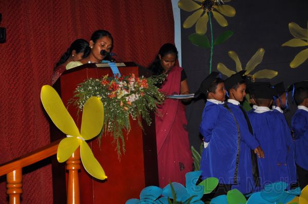 Blooming Buds 2011
