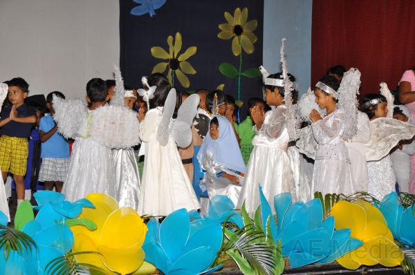 Blooming Buds 2011