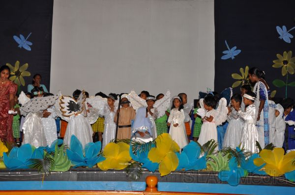 Blooming Buds 2011